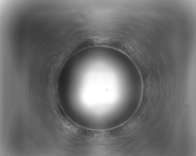 X0000068771345200605051621