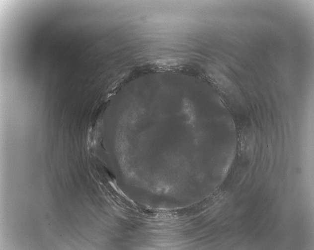 X0000068771346200605051621