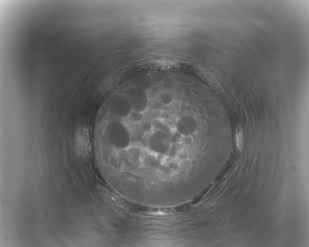 X0000068771347200605051621