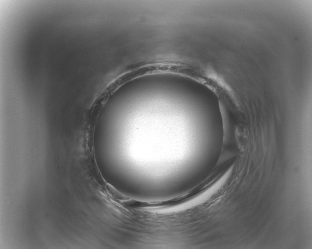 X0000068771352200605051621