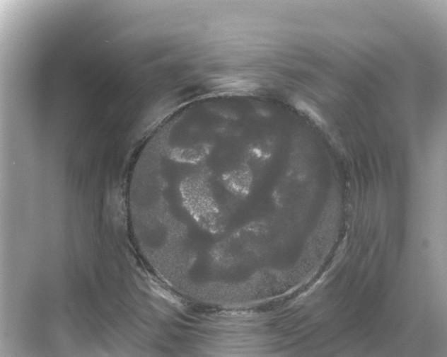 X0000068771354200605051621