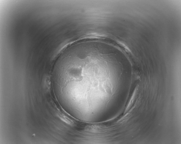 X0000068771355200605051621