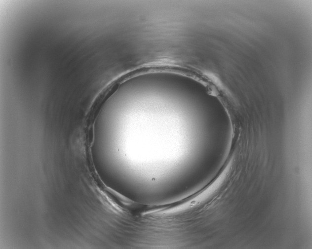 X0000068771356200605051621