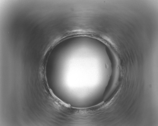 X0000068771357200605051621