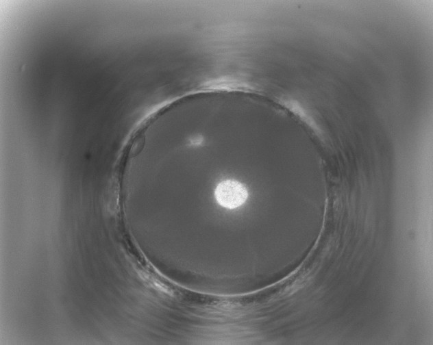 X0000068771358200605051621