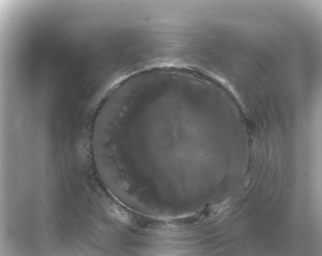 X0000068771359200605051621