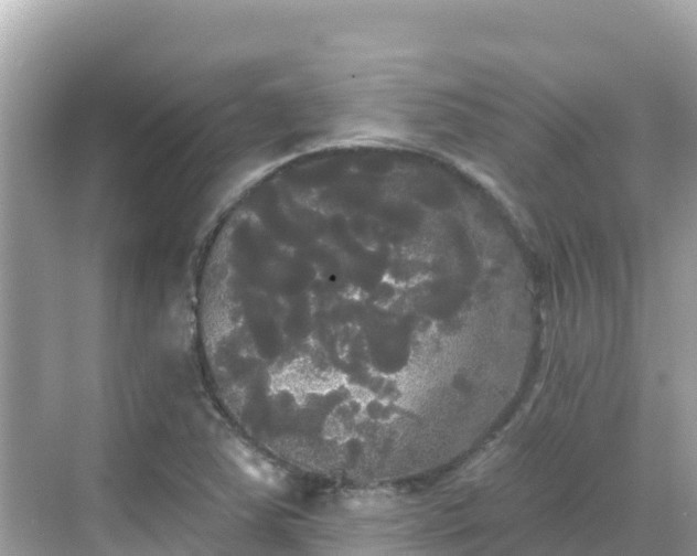 X0000068771363200605051621