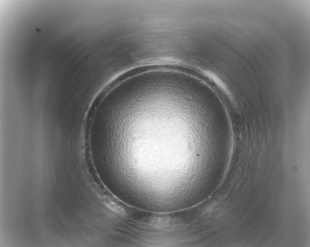 X0000068771364200605051621