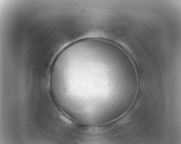 X0000068771366200605051621