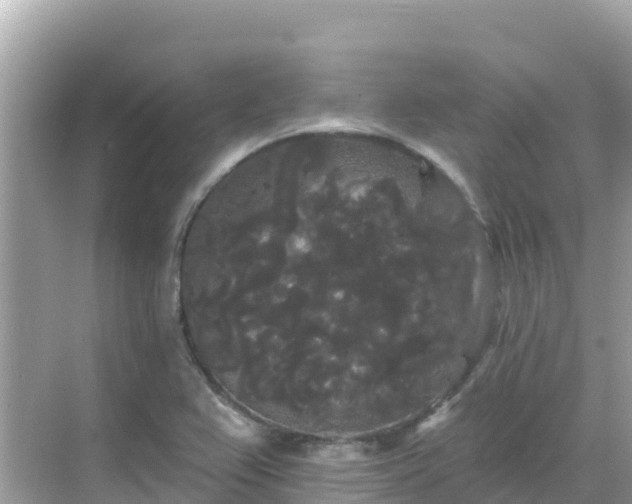 X0000068771367200605051621