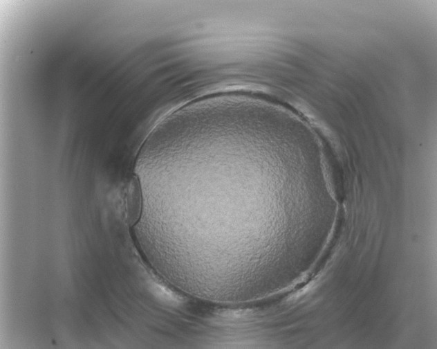 X0000068771369200605051621