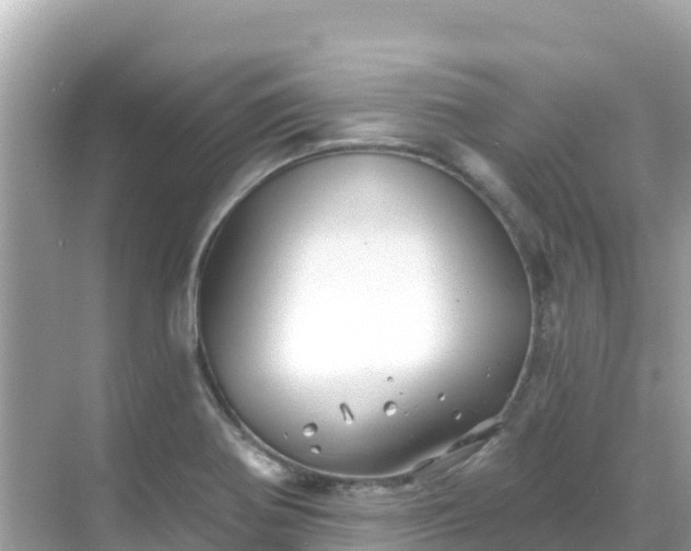 X0000068771370200605051621