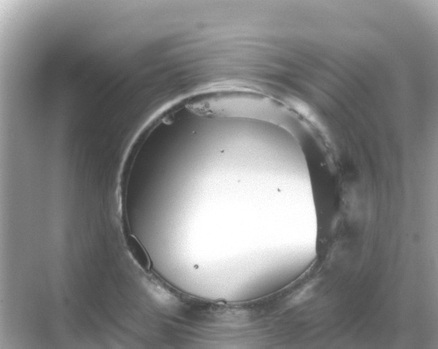 X0000068771372200605051620