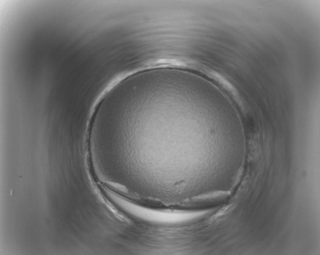 X0000068771373200605051620