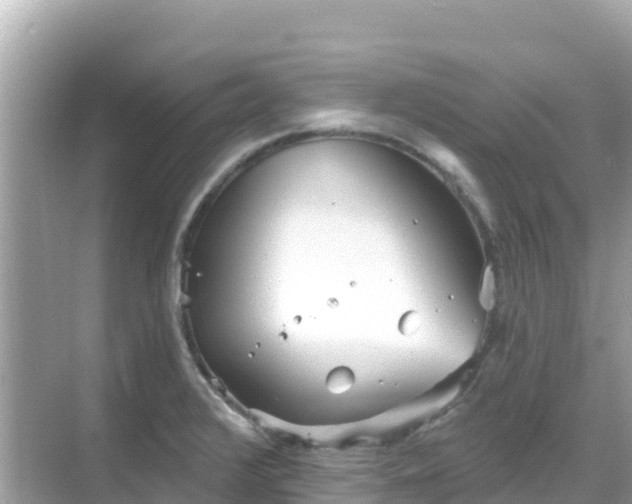 X0000068771376200605051620