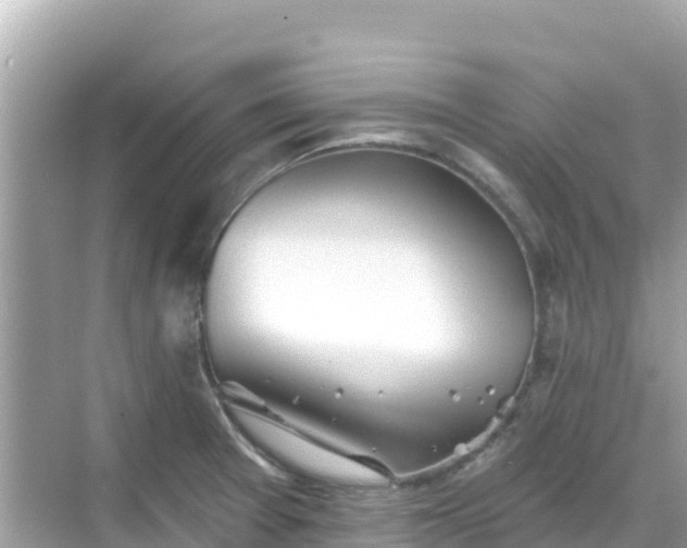 X0000068771377200605051620