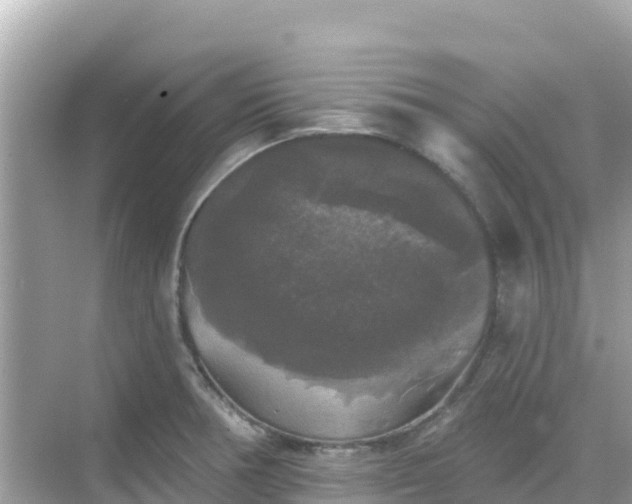 X0000068771378200605051620