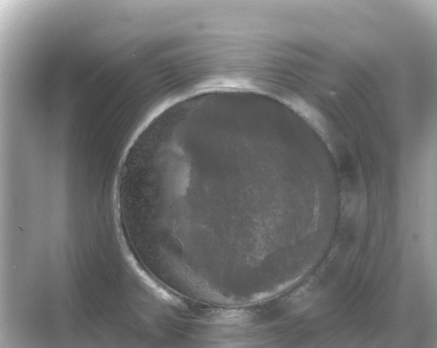 X0000068771382200605051620