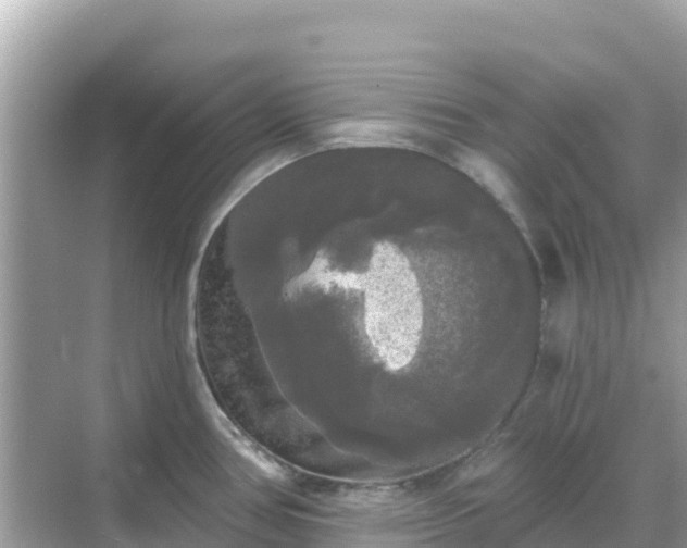 X0000068771386200605051620