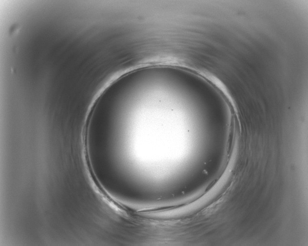 X0000068771389200605051620