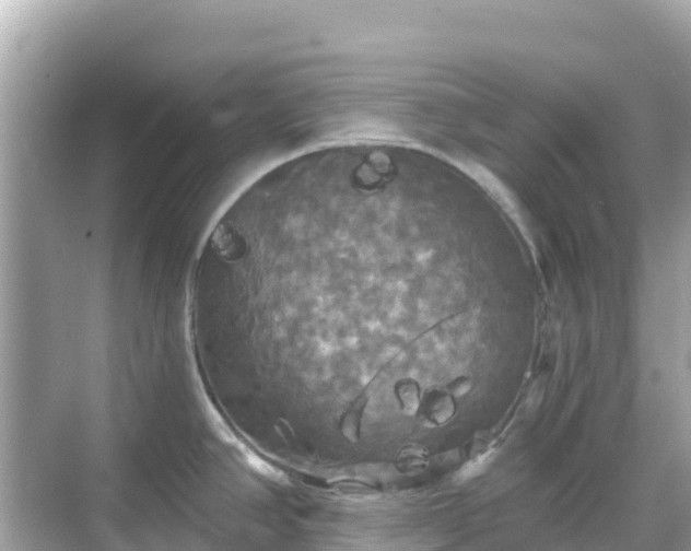 X0000068771390200605051620