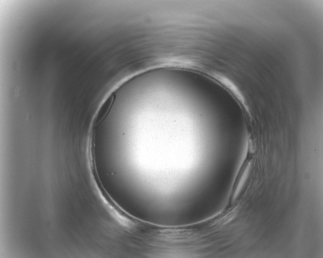 X0000068771391200605051620