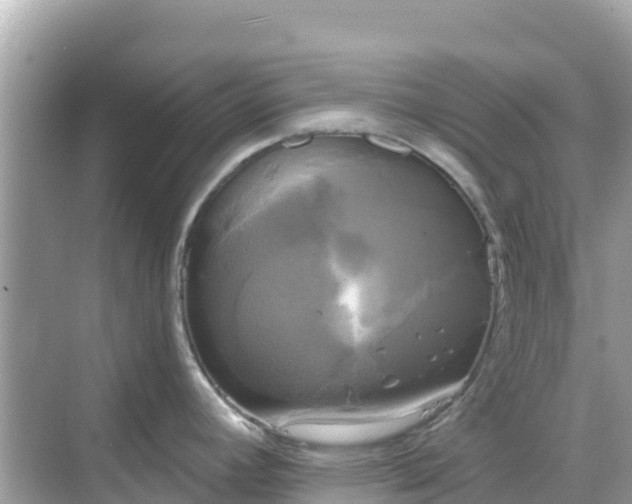 X0000068771392200605051620