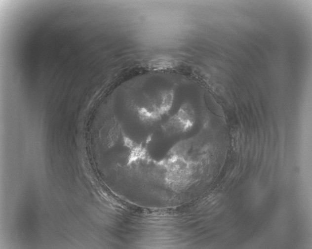 X0000068771393200605051619