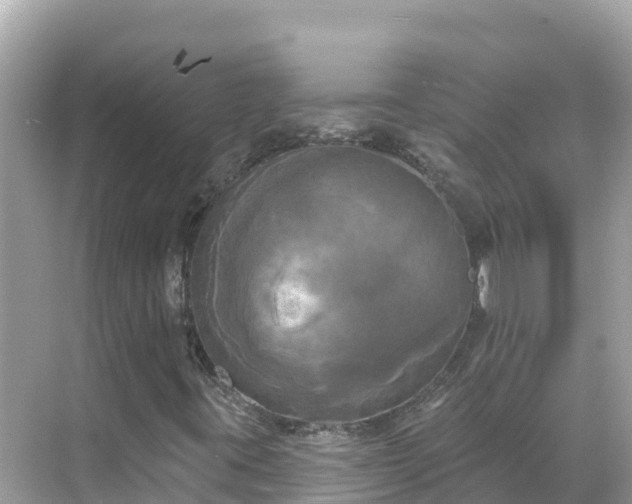 X0000068771395200605051619