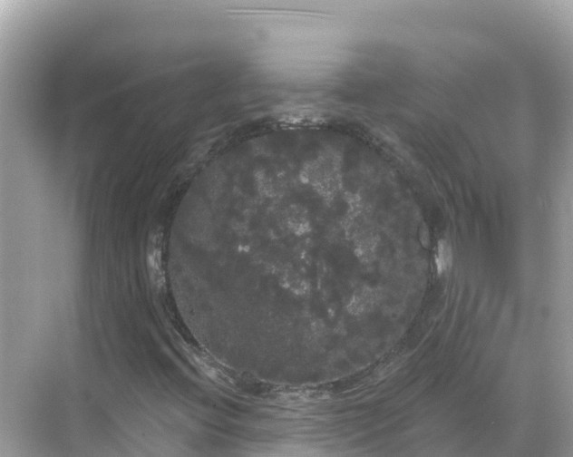 X0000068771396200605051619