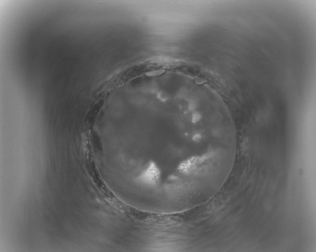 X0000068771397200605051619