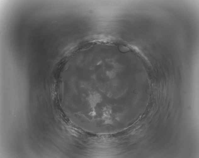 X0000068771399200605051619