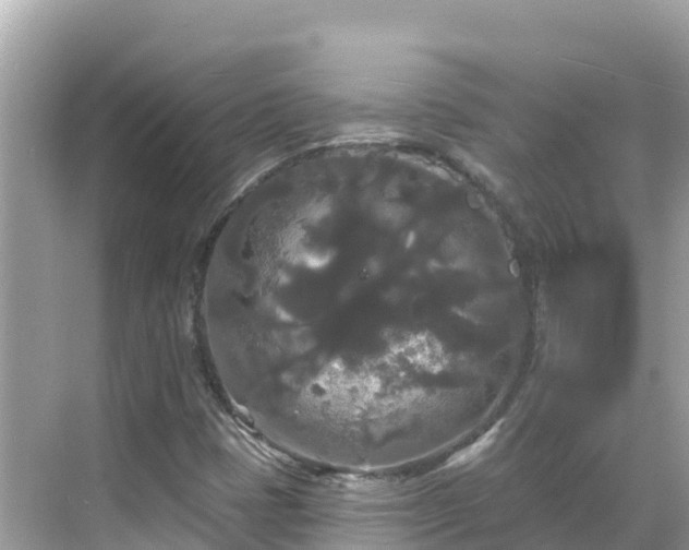 X0000068771401200605051619