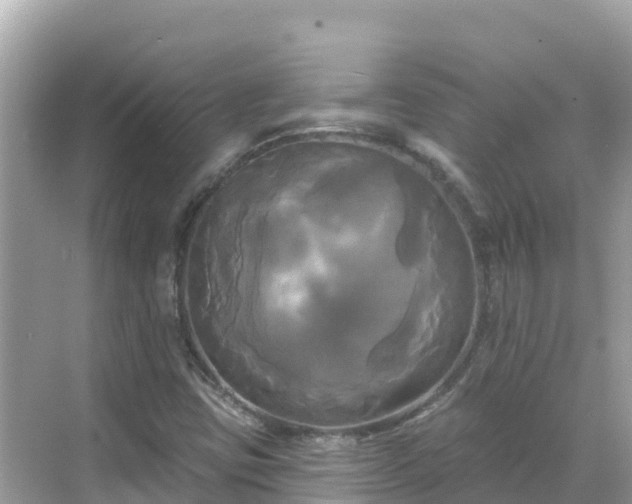 X0000068771403200605051620