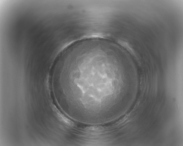 X0000068771404200605051620