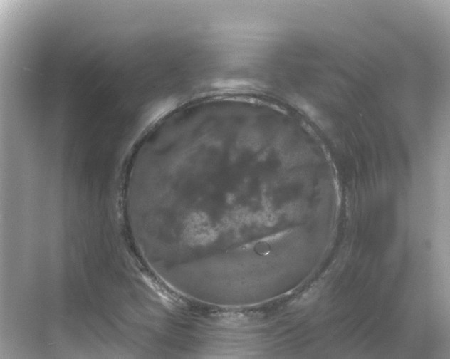 X0000068771405200605051620