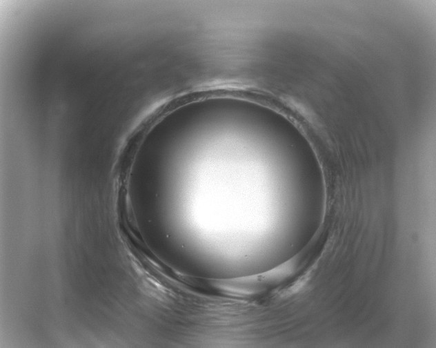 X0000068771406200605051620