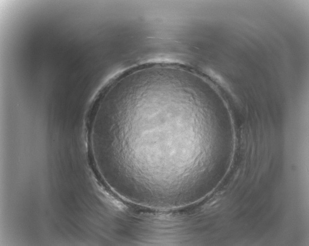 X0000068771408200605051620