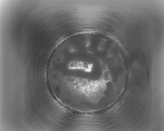 X0000068771409200605051620