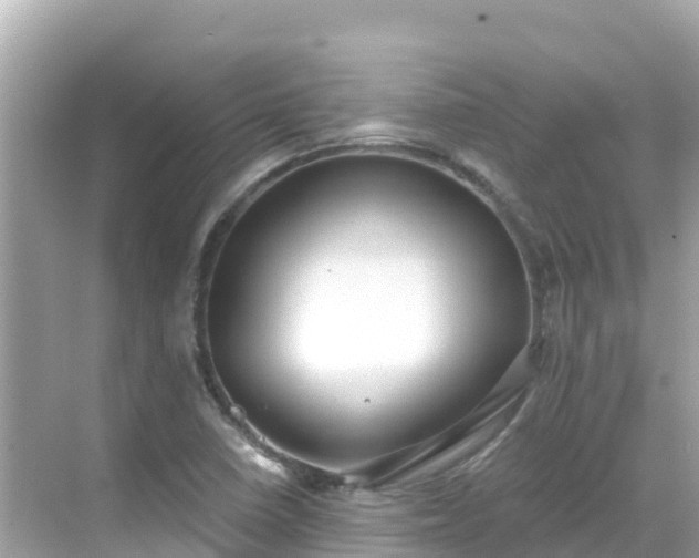 X0000068771410200605051620