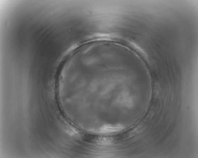 X0000068771411200605051620