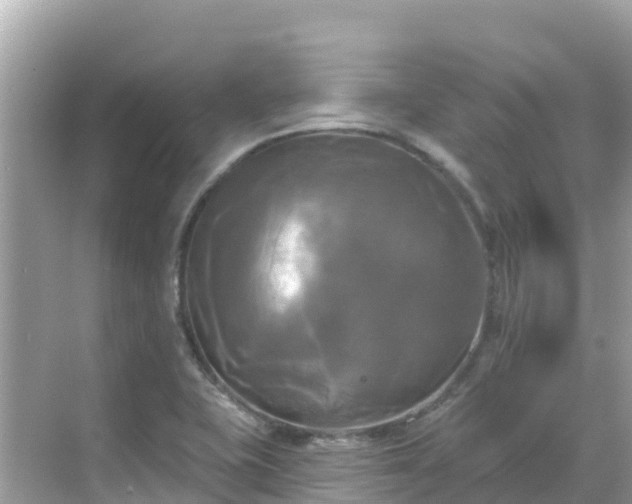 X0000068771415200605051620