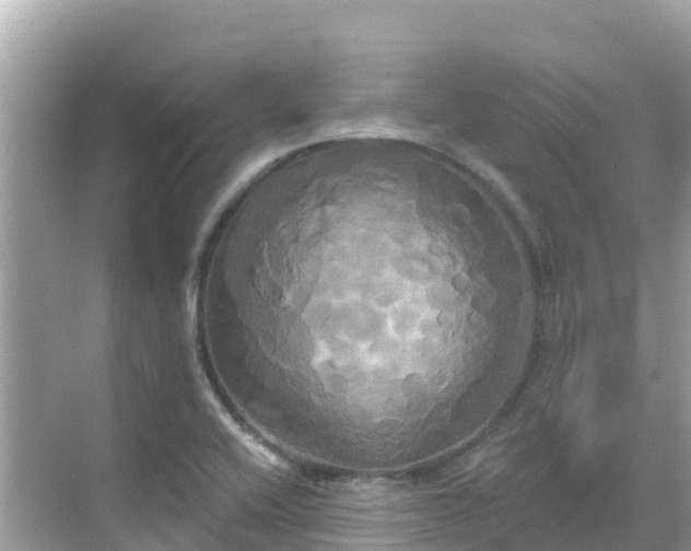 X0000068771416200605051620