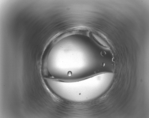 X0000068771418200605051620