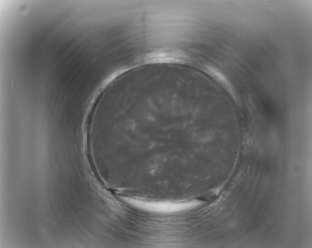 X0000068771419200605051620