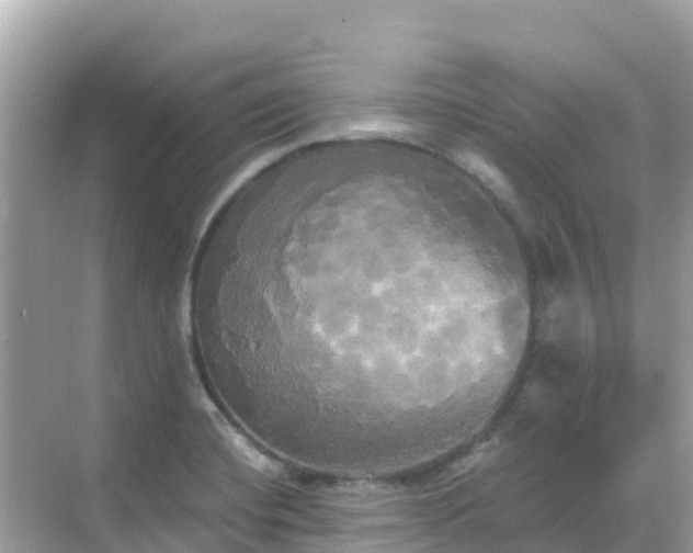 X0000068771420200605051620