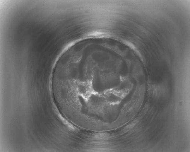 X0000068771421200605051620