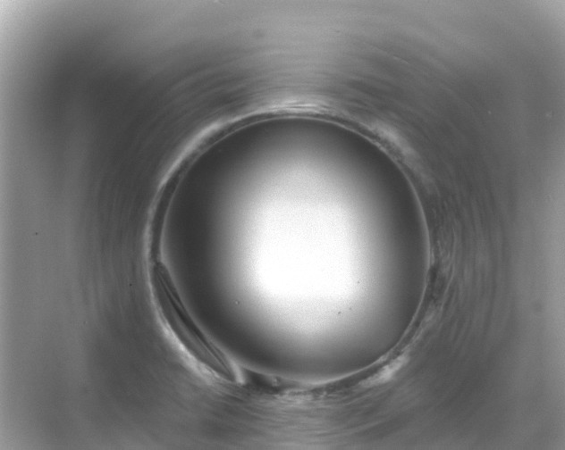 X0000068771422200605051620