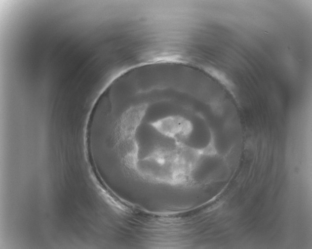 X0000068771423200605051620