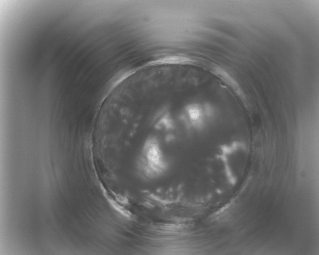 X0000068771425200605051620